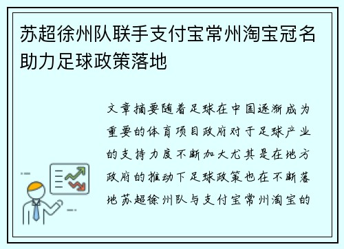 苏超徐州队联手支付宝常州淘宝冠名助力足球政策落地