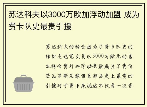 苏达科夫以3000万欧加浮动加盟 成为费卡队史最贵引援